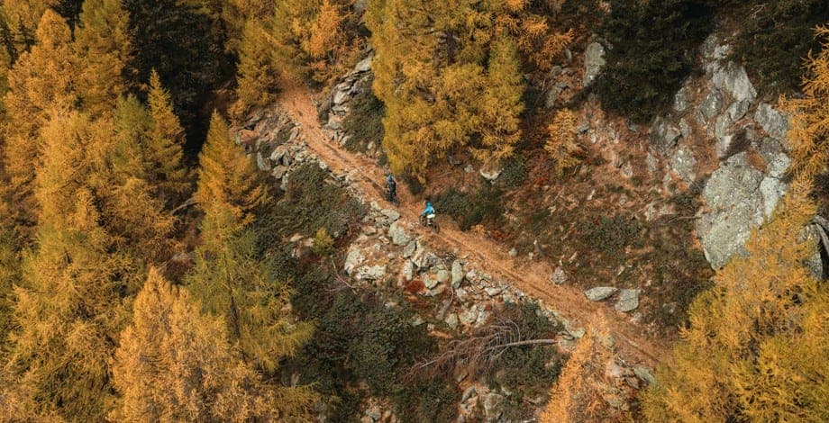 Drone shot of two riders riding on a pine needle-covered trail in autumn
